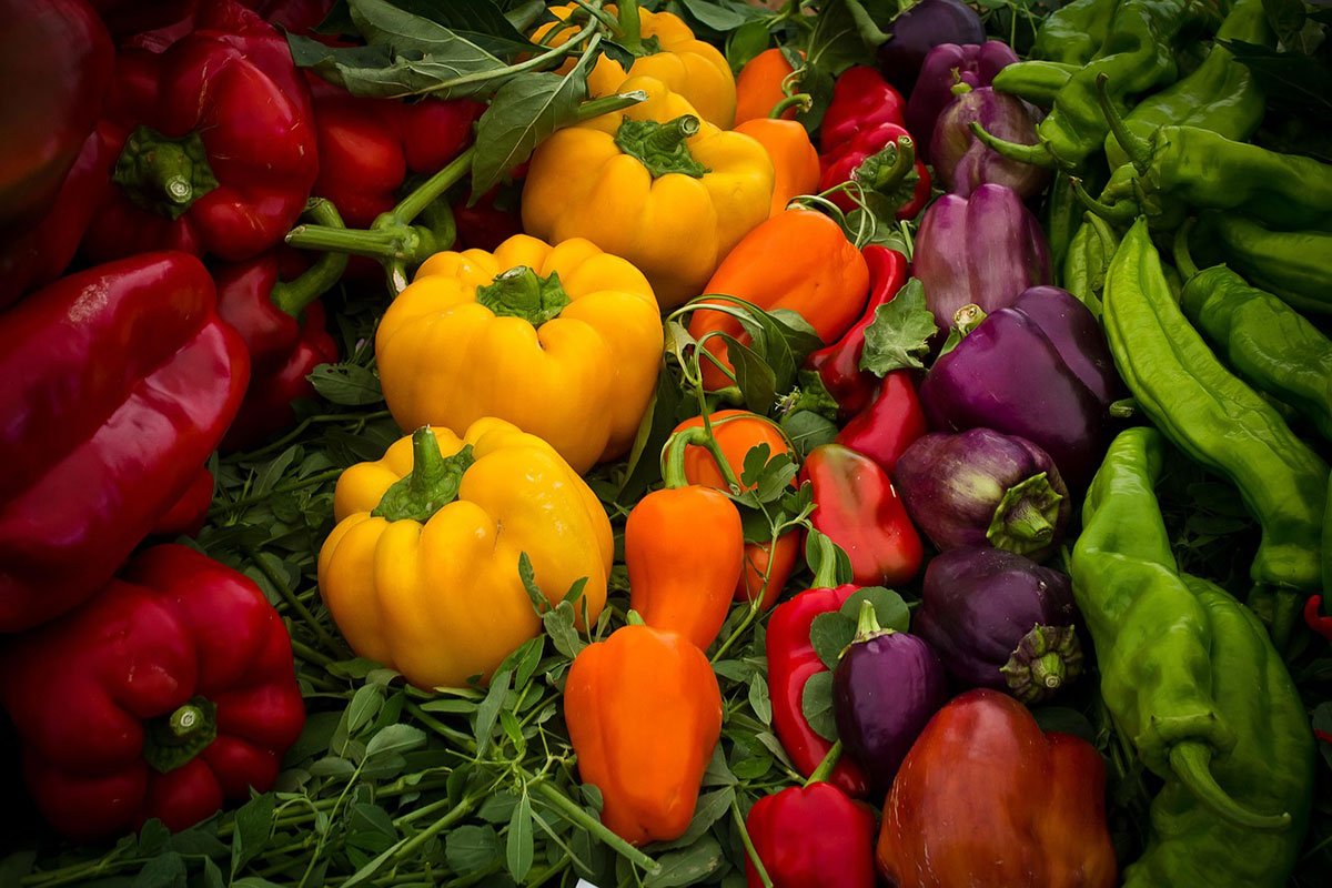 hortalizas-para-plantar-en-abril