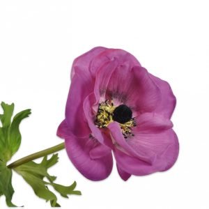 ANEMONE STEM PURPLE 44CM