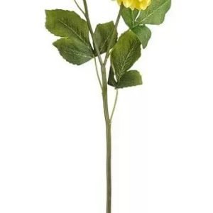 DAHLIA GEORGE SPRAY YELLOW 50CM