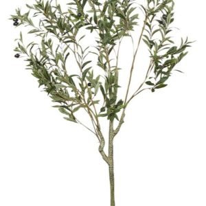 OLIVE SPRAY ARAGON GREEN 68