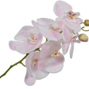 ORCHID STEM PINK LT 79 cm