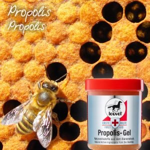 POMADA LEOVET PROPOLIS GEL 350ML